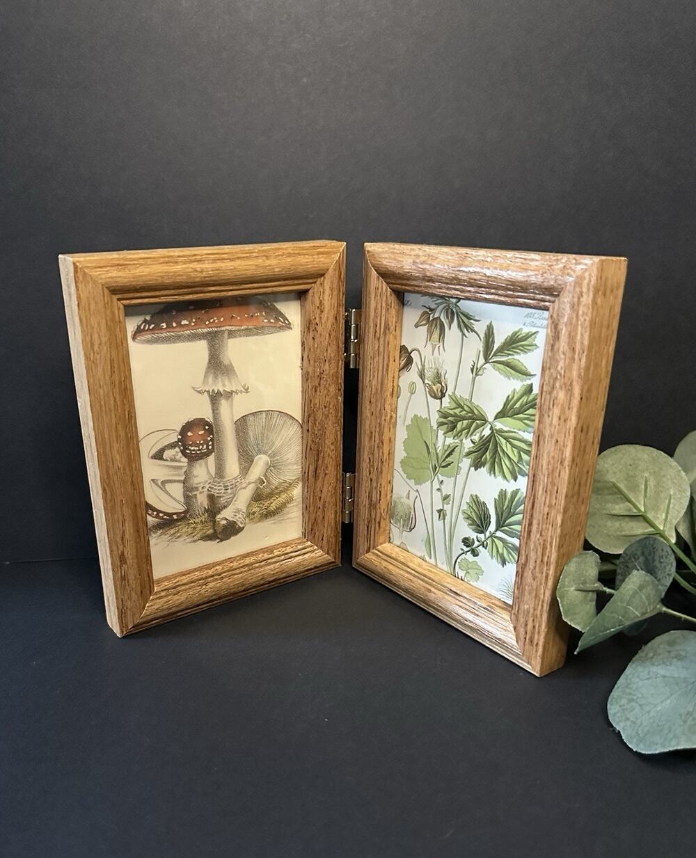 Hinged Double Wood Picture Frame 4.5x6 Mushroom Botanical Prints Cottagecore